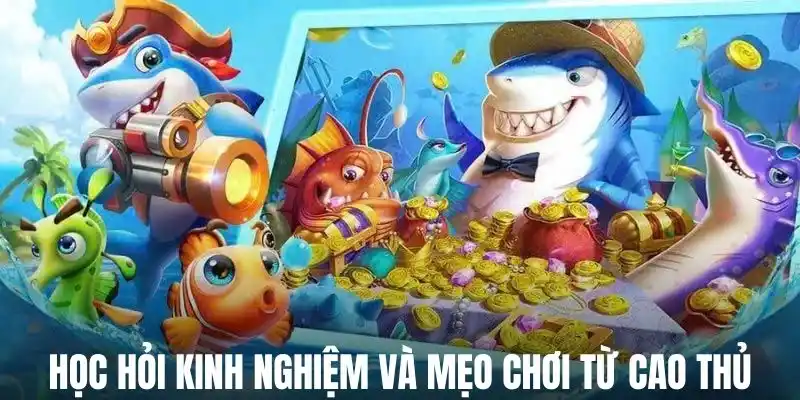Kinh nghiệm quý giá được tích lũy qua nhiều năm chinh chiến của cao thủ