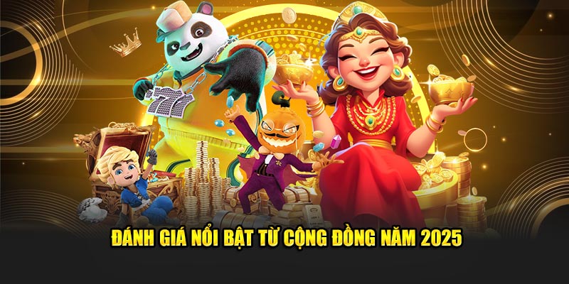 Đánh giá nổi bật từ cộng đồng năm 2025