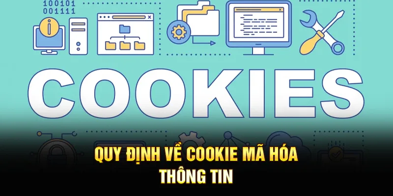 Quy định về cookie mã hóa thông tin